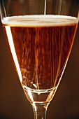 A glass of Taittinger Champagne brut