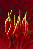 Several chili peppers against red background