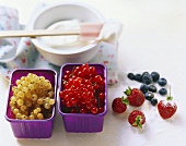 Berries, cream and sugar - cake ingredients