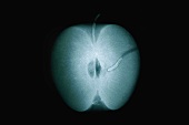 X-ray of an apple with maggot (photomontage)