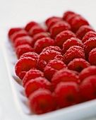 Raspberries lined up in a white bowl