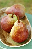 Three red Williams pears in a bowl