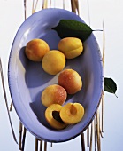 'Sekerpare' apricots (Prunus armeniaca) in a bowl