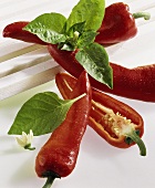 Red pointed peppers with flower and leaves