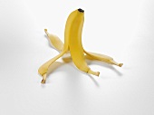 Half a banana with skin, standing upright