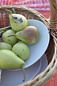 Basket with plates and pears