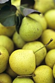 Fresh pears with leaves (filling the picture)