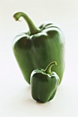 Small and large green pepper