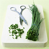 Chives in a bunch and snipped chives with scissors