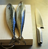 Two fresh mackerel on chopping board, knife beside it