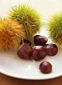Sweet chestnuts, some with shells
