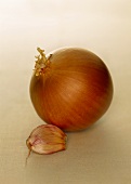 Brown onion and clove of garlic