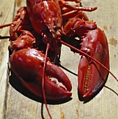Cooked lobster on wooden background