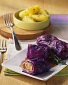 Red cabbage roulades with mince filling; parsley potatoes