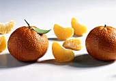 Mandarinen und Mandarinenspalten