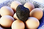Black truffle on fresh eggs
