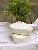 Goat's cheese and fresh herbs