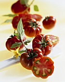 Tomaten, Sorte Merinda (Herkunft: Italien)