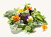 Salad leaves with edible flowers