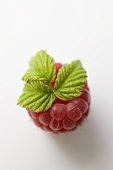 Raspberry with leaf from above