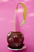 A cherry with stalk, leaf and drops of water