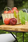 Nectarines with leaves in basket on table in the open air