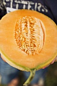 Person holding half a cantaloupe melon