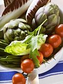 Fresh vegetables and salad in strainer (detail)
