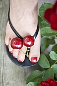 A pair of red cherries between someone's toes (overhead view)
