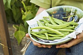 Child holding dish of green beans, out of doors