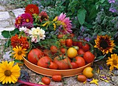 Fresh tomatoes in bowl surrounded by summer flowers