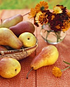 Still life with pears and vase of flowers