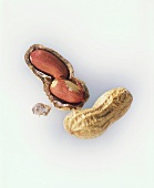 Peanuts, with intact and opened shell