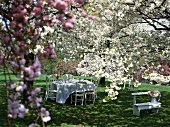 Gedeckter Tisch unter blühenden Bäumen im Garten