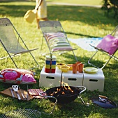 Summer picnic with barbecue in the open air