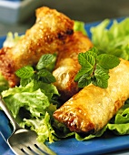 Spring rolls with salad leaves