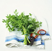 A bunch of parsley with scissors