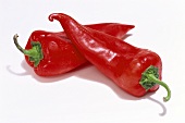 Two red pointed peppers