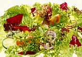 Mixed salad on white background