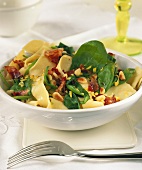 Ribbon pasta with spinach, pine nuts and strips of bacon