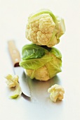 Mini-cauliflower