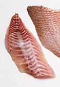 Red snapper fillet