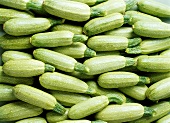 Light-green courgettes