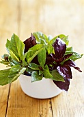 Green and red Thai basil