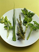 Fresh herbs on a plate