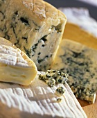 Various types of cheese (soft cheese and blue cheese)