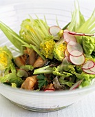 Salad with grilled salmon, anchovies and fennel