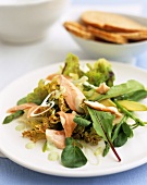 Salad leaves with avocado and salmon