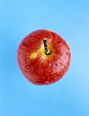 A red apple (variety: Fuji)