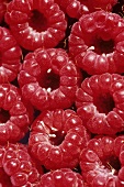 Himbeeren